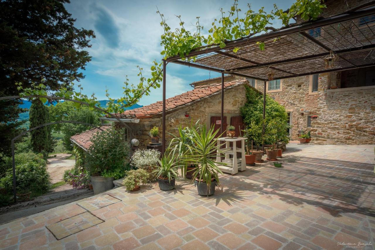Agriturismo Corzano Barberino di Mugello Ngoại thất bức ảnh
