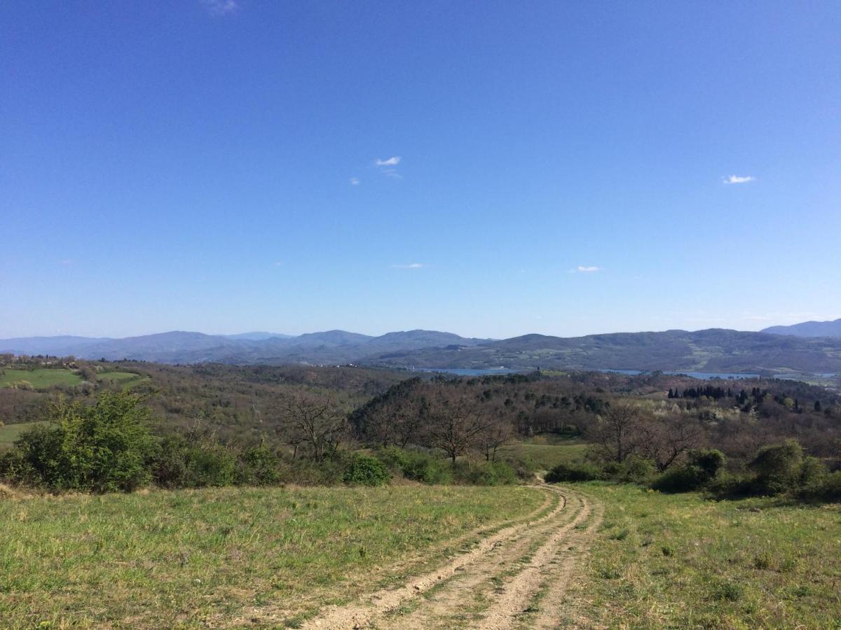 Agriturismo Corzano Barberino di Mugello Ngoại thất bức ảnh