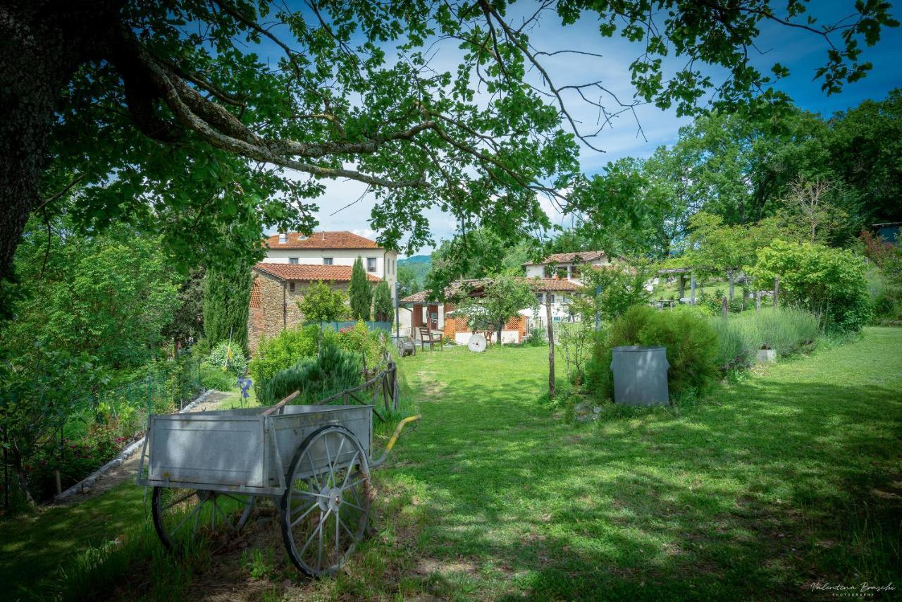 Agriturismo Corzano Barberino di Mugello Ngoại thất bức ảnh