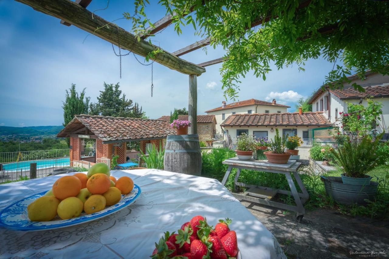 Agriturismo Corzano Barberino di Mugello Ngoại thất bức ảnh