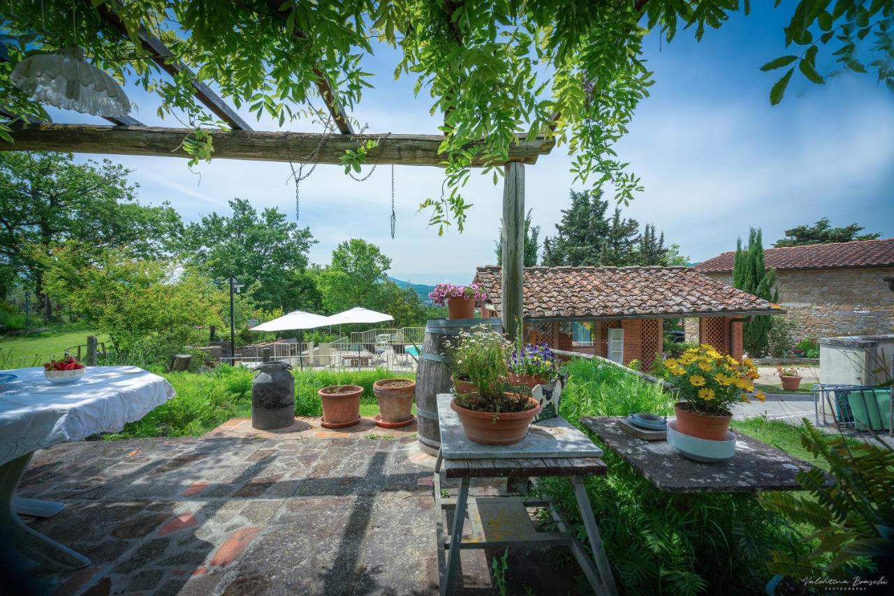 Agriturismo Corzano Barberino di Mugello Ngoại thất bức ảnh