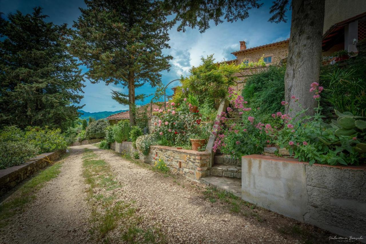 Agriturismo Corzano Barberino di Mugello Ngoại thất bức ảnh